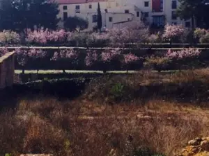 Cal Raco Sant Jordi