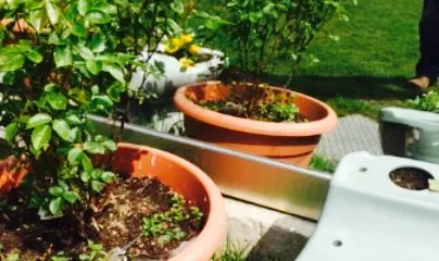 The Elephants Head Pub