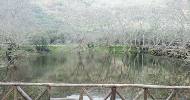Taverna Antartissa