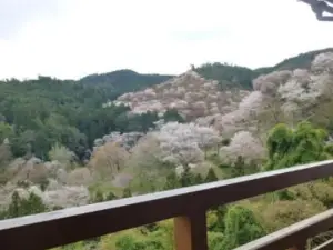 Asahikan