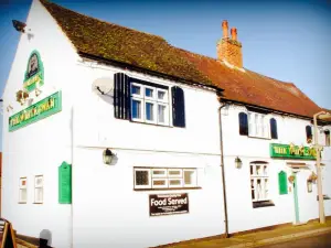 The White Swan
