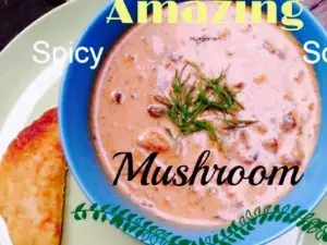 The Vegetable Hunter - Harrisburg - Vegan Cafe and Boutique Brewery