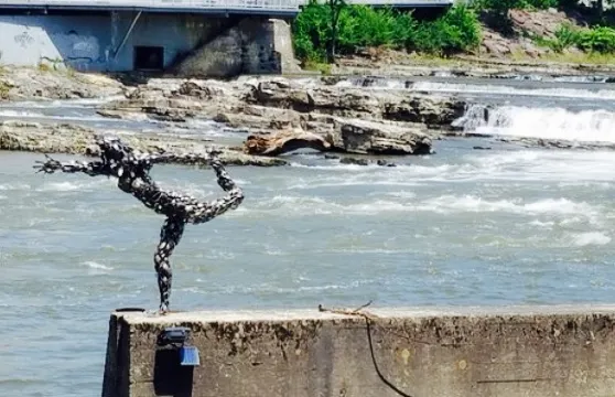 Pingala Cafe & Eatery