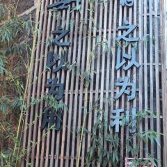 无有景观餐厅 User Photo