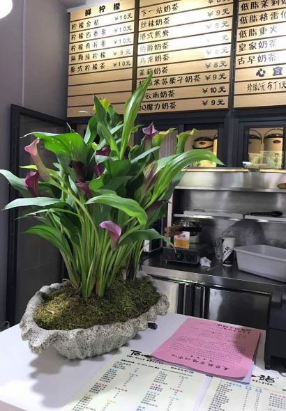 XIA YI ZHAN NAI CHA WEN HUA ZHUAN MEN DIAN