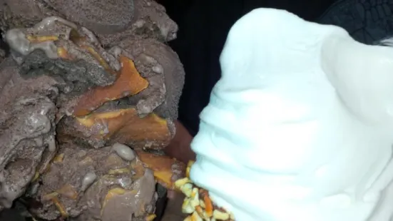 The Fat Donkey Ice Cream and Fine Desserts