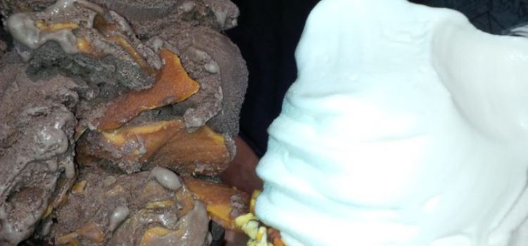 The Fat Donkey Ice Cream and Fine Desserts