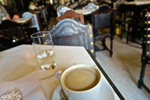 Café Santa Cruz
