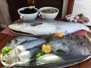 Il Brodetto Restaurant
