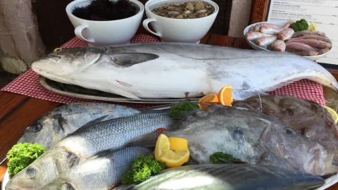 Montenegro-Fish Restaurant-Il Brodetto in Przno