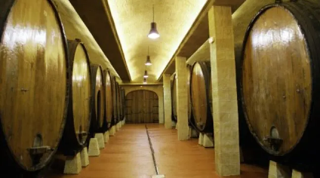 Petritegi Sagardotegia