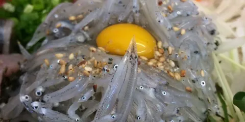 Shirasu Ryori No Hoyomaru