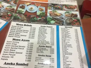 Bebek Palupi Barata