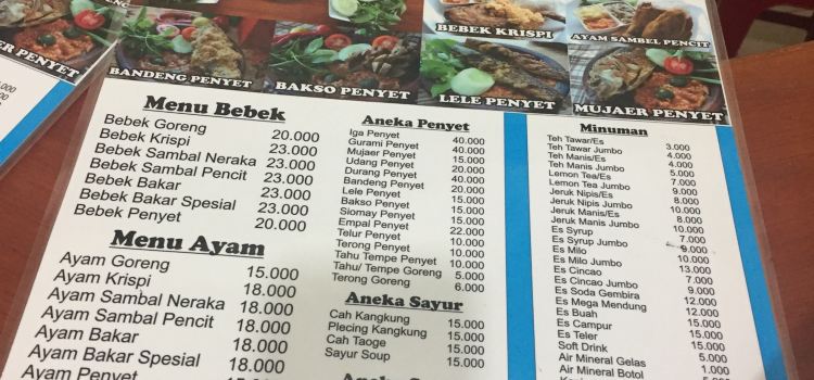 Bebek Palupi Barata