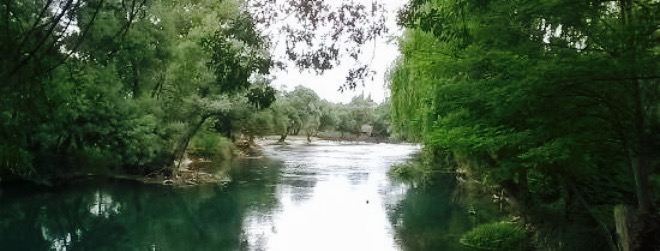 Mlinica