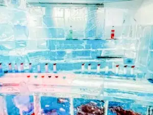 SubZero Ice Bar & Restaurant