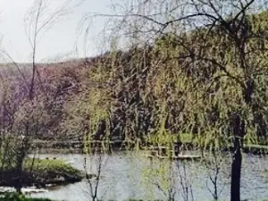 Gallien - Die Erlebniswelt im Waldviertel