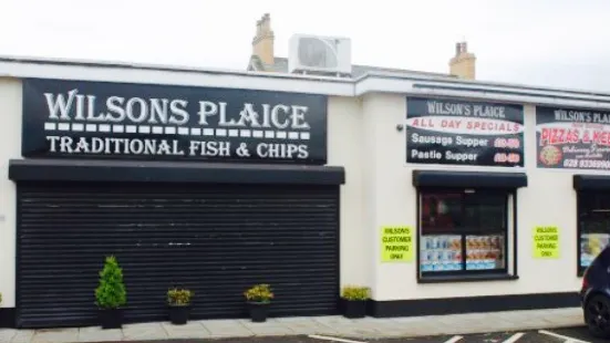 Wilson's Plaice