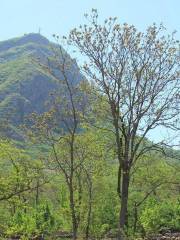 Dayushu Reservoir