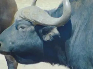 Mugg & Bean On The Move