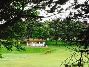 James' at the Putting Green