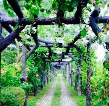May's Organic Garden & Restaurant