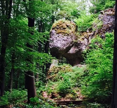 Landgasthof-Pension Fischer