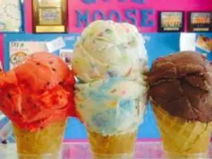 Cool Moose Ice Cream