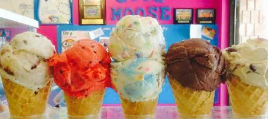 Cool Moose Ice Cream