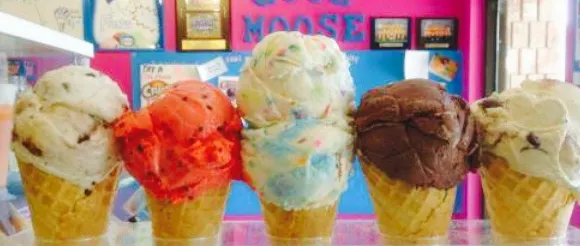 Alliston Cool Moose Creamery