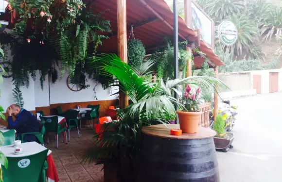 Guachinche Bibi y Mana