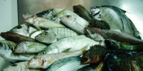 Osteria del Seminario