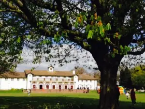 Rowheath Pavilion Cafe
