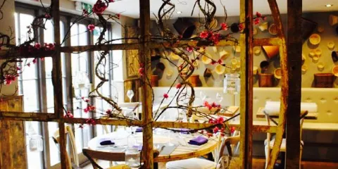 Giggling Squid Berko