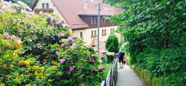 Amselgrund schlösschen