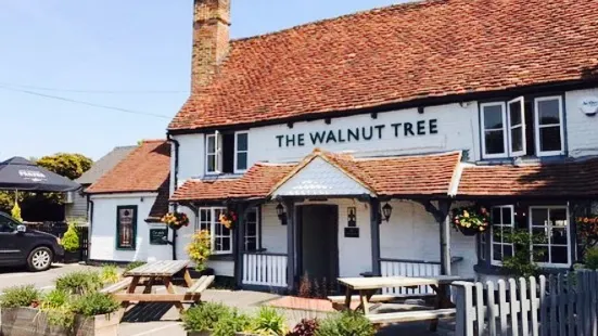 The Walnut Tree