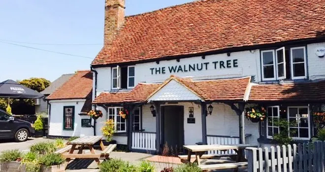 The Walnut Tree