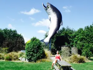 Salmon Tales Cafe