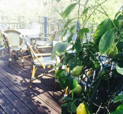 Sachsische Kaffeestube