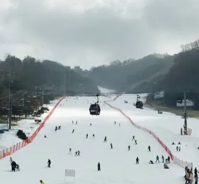 Starbucks Daemyung Vivaldi