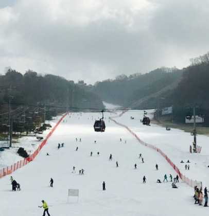 스타벅스 비발디파크점