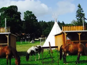 Bison Ranch