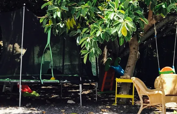 Guachinche La Cueva de Chichio