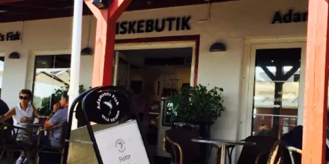 Adamsens Fisk