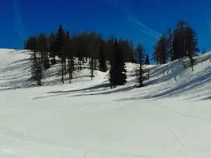 Genuss Gasthof Hierzegger