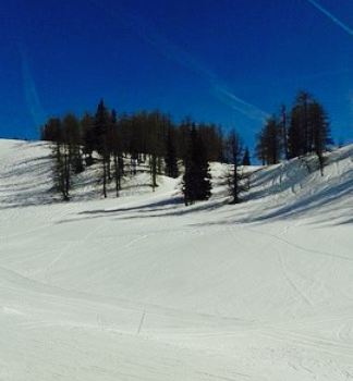 Genuss Gasthof Hierzegger