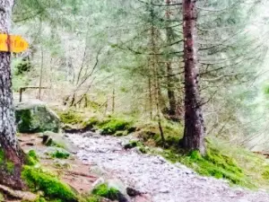 Rifugio Sandro Occhi all'Aviolo