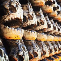 Ironside Fish & Oyster User Photo