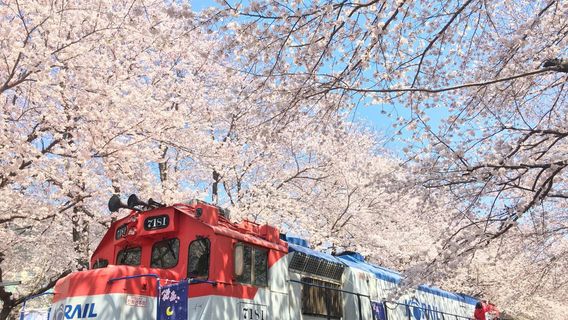 昌原市日遊