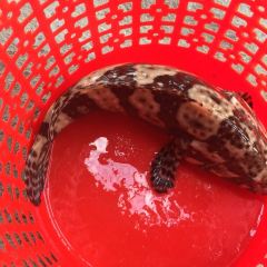 hao shi lai User Photo